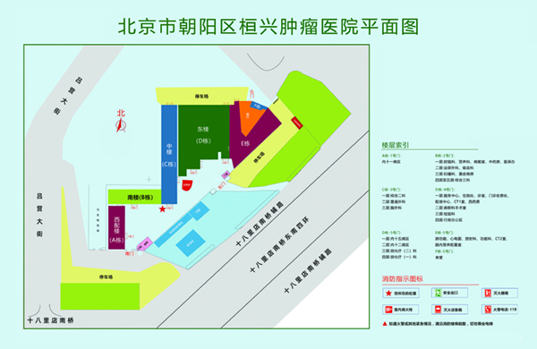 啊啊啊啊啊啊用力干我啊AV黄片北京市朝阳区桓兴肿瘤医院平面图